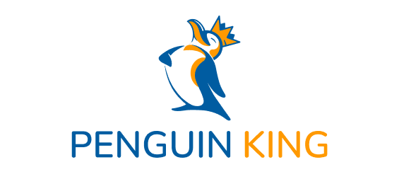 وائس پی logo